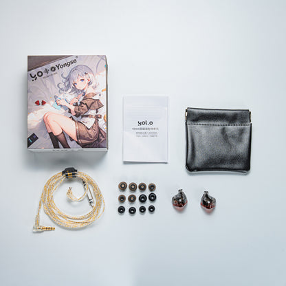 YSI YOLO In-Ear Monitors | 10mm Dual Magnet Drivers | Detachable 0.78mm Cable | Hi-Fi Earphones with Mic